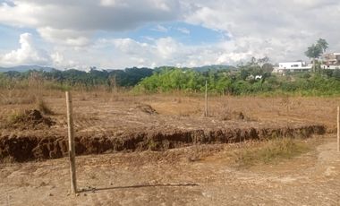 LOTE INDUSTRIAL EN VENTA VÍA ARMENIA/PEREIRA