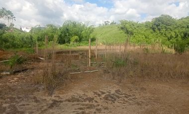 LOTE INDUSTRIAL EN VENTA VÍA ARMENIA/PEREIRA