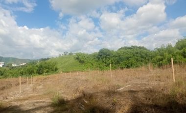 LOTE INDUSTRIAL EN VENTA VÍA ARMENIA/PEREIRA