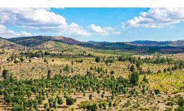 Últimas parcelas 100%planas