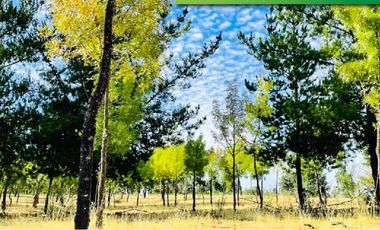 Últimas parcelas 100%planas