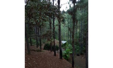 CASA AMOBLADA  EN  ALTOS DEL MARIA