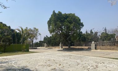 Lomas Tetela