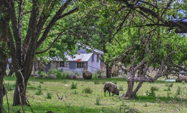 Parcela en Venta en Chiloé