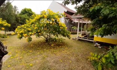 Rumah Satu Lantai Di Pariaman  Tengah Padang