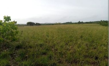 Villa venta en Antón