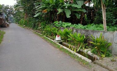Tanah di Jiwut Nglegok Kab. Blitar