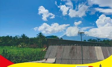 Tanah dijual di Batobella, Bangkalan, Jawa Timur