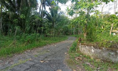 Rumah Murah Minimalis Modern di Krembangan