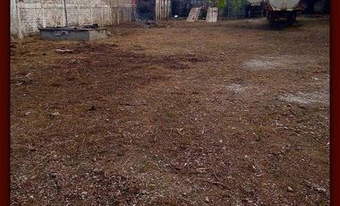 OFICINAS CON NAVE Y TERRENO EN VENTA