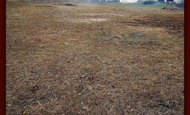 OFICINAS CON NAVE Y TERRENO EN VENTA