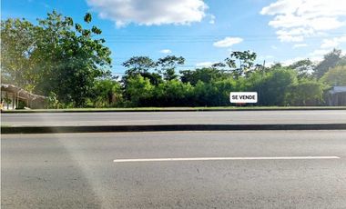 VENDO LOTE COMERCIAL EN VA PANAMERICANA