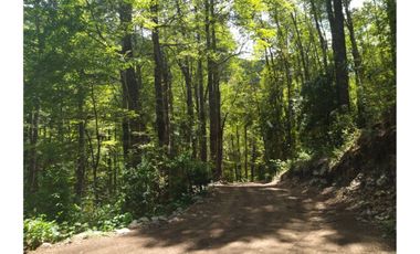 Parcela sector Puesco Curarrehue, entorno natural