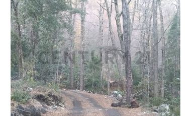 Parcela sector Puesco Curarrehue, entorno natural