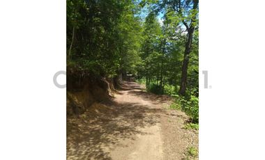 Parcela sector Puesco Curarrehue, entorno natural