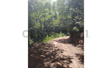 Parcela sector Puesco Curarrehue, entorno natural