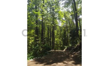 Parcela sector Puesco Curarrehue, entorno natural