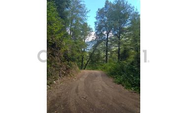 Parcela sector Puesco Curarrehue, entorno natural