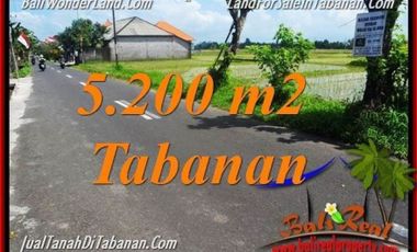 5.200 m2 View Sawah Murah Rp 3,5 jt/m di Tabanan Kediri