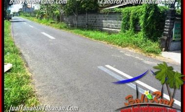 5.200 m2 View Sawah Murah Rp 3,5 jt/m di Tabanan Kediri