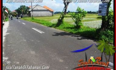 5.200 m2 View Sawah Murah Rp 3,5 jt/m di Tabanan Kediri