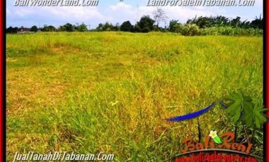 5.200 m2 View Sawah Murah Rp 3,5 jt/m di Tabanan Kediri