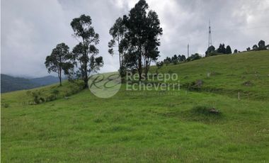 Vendo lote Zona Industrial, Manizales