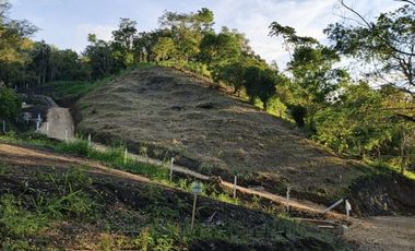 casa campestre en venta en el colegio. Cod V221