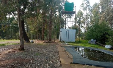 LINDA PROPIEDAD EN SECTOR EL ALAMO, SAN IGNACIO, ÑUBLE
