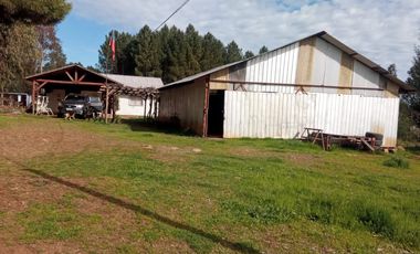 LINDA PROPIEDAD EN SECTOR EL ALAMO, SAN IGNACIO, ÑUBLE