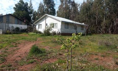 LINDA PROPIEDAD EN SECTOR EL ALAMO, SAN IGNACIO, ÑUBLE