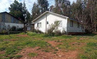 LINDA PROPIEDAD EN SECTOR EL ALAMO, SAN IGNACIO, ÑUBLE