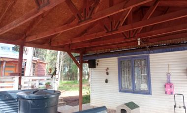 LINDA PROPIEDAD EN SECTOR EL ALAMO, SAN IGNACIO, ÑUBLE