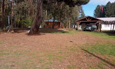LINDA PROPIEDAD EN SECTOR EL ALAMO, SAN IGNACIO, ÑUBLE