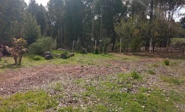 LINDA PROPIEDAD EN SECTOR EL ALAMO, SAN IGNACIO, ÑUBLE