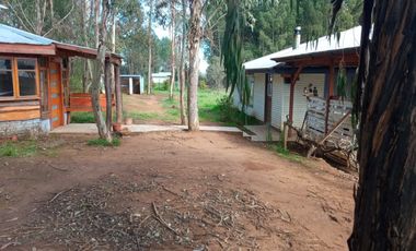 LINDA PROPIEDAD EN SECTOR EL ALAMO, SAN IGNACIO, ÑUBLE