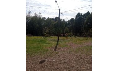LINDA PROPIEDAD EN SECTOR EL ALAMO, SAN IGNACIO, ÑUBLE