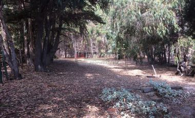 Sitio en Venta en Playa El Tebo