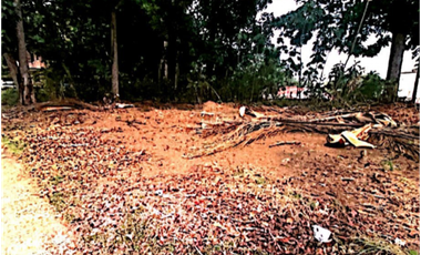 SEA CONFIABLE Vende Lote en Curundu, Ancon