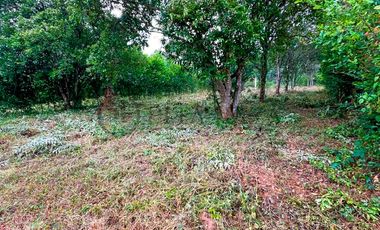 lote en venta en cúcuta. Cod V2937