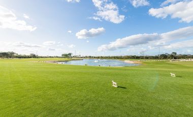 Terreno en venta Mérida Yucatán, Privada Provincia Komchén