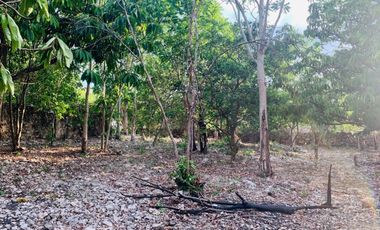 Terreno cerca de tren Maya en Merida Yucatan propiedad privada