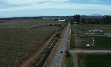Se vende parcela 5000m2 en Loteo Las Brisas de Mariposas, San Clemente