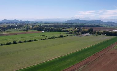 Se vende parcela 5000m2 en Loteo Las Brisas de Mariposas, San Clemente