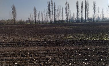 Venta Terreno Agricola Lampa - Opcion Derechos de Agua