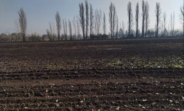 Venta Terreno Agricola Lampa - Opcion Derechos de Agua