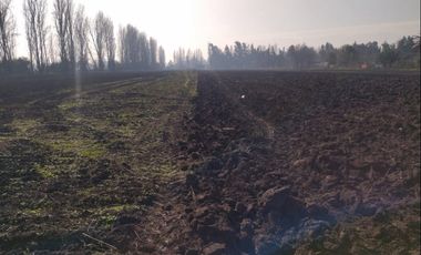 Venta Terreno Agricola Lampa - Opcion Derechos de Agua