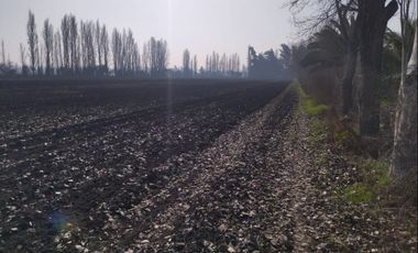 Venta Terreno Agricola Lampa - Opcion Derechos de Agua