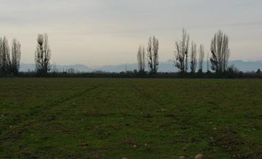 PARCELAS DE 5.000 M2, EN SECTOR LA ESPERANZA, ESTACIÓN VILLA ALEGRE, COMUNA DE YERBAS BUENAS, (LUZ ELÉCTRICA INCLUIDA).