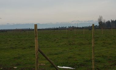 PARCELAS DE 5.000 M2, EN SECTOR LA ESPERANZA, ESTACIÓN VILLA ALEGRE, COMUNA DE YERBAS BUENAS, (LUZ ELÉCTRICA INCLUIDA).